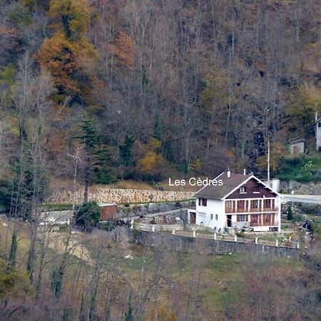 Les Cedres Lägenhet Ax-les-Thermes Exteriör bild